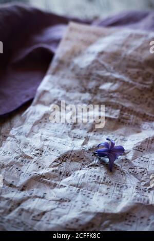 Tiny violet flower placed on surface of crumpled sheet music Stock Photo