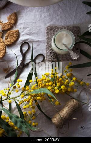 Flat Lay Composition With Yogurt Desserts And Ingredients On White 