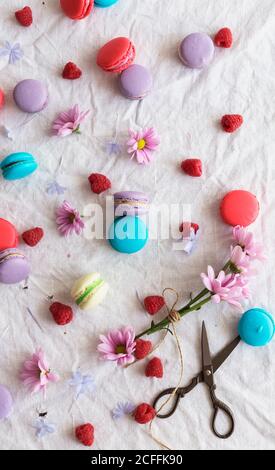From above retro scissors and pink flowers placed on white cloth amidst colorful tasty macaroons and fresh raspberries Stock Photo