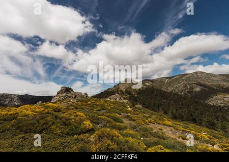 Amazing landscape of stone hills covered by dry grass and yellow flowers under big fluffy white clouds on sky Stock Photo