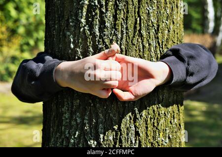 Kod's hands embracing an oak tree trunk, feeling at one with nature Stock Photo