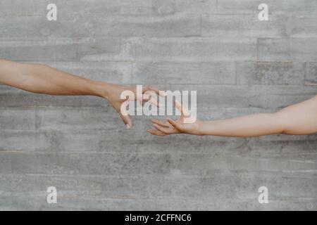 Tanned strong hands of crop man and Woman gesturing and showing the action of taking on background of grey wall Stock Photo