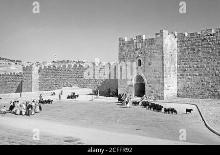 Original Caption:  Herod's Gate  - Location: Jerusalem ca.  1940-1946 Stock Photo