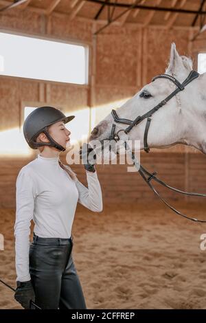 HorseWoman with dapple gray horse with long fluffy tail walking around light big arena Stock Photo