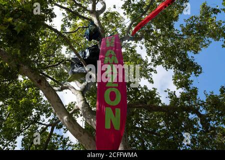 Protesters high up in trees in Parliament Square hang a banner reading 'Our Amazon' at Extinction Rebellion demonstration on 4th September 2020 in London, United Kingdom. With government resitting after summer recess, the climate action group has organised two weeks of events, protest and disruption across the capital. Extinction Rebellion is a climate change group started in 2018 and has gained a huge following of people committed to peaceful protests. These protests are highlighting that the government is not doing enough to avoid catastrophic climate change and to demand the government take Stock Photo