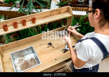 Top view of anonymous Woman making notes on labels while standing near wooden table with potted plant in indoor garden Stock Photo