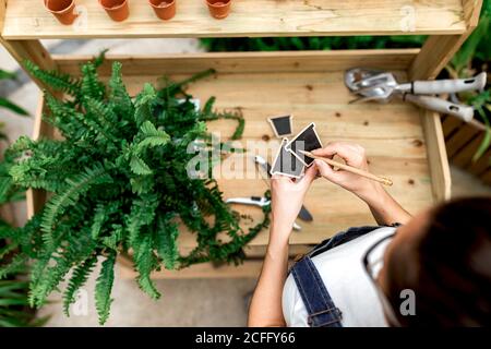 Top view of anonymous Woman making notes on labels while standing near wooden table with potted plant in indoor garden Stock Photo