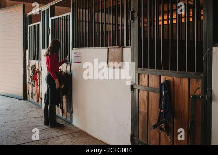 Interior view of woman standing at the entrance with her dog Stock ...