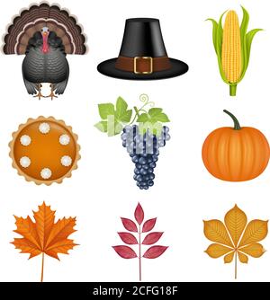 set of thanksgiving elements. isolated turkey, pilgrim hat, corn cob, pumpkin pie, grapes, pumpkin and fall leaves illustration Stock Vector