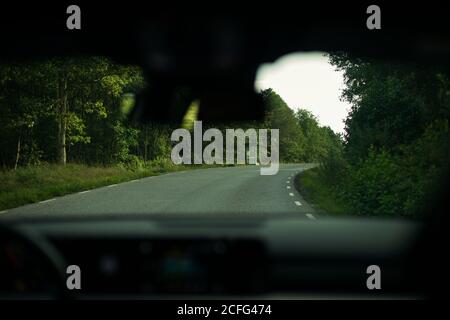 Through car window view of asphalt lonely road in countryside passing along green forest on sunny day in summer Stock Photo