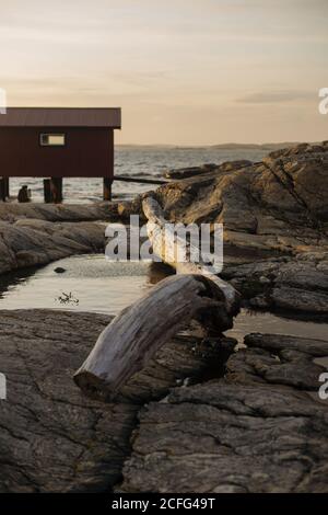 Remote red wooden house located on rocky seashore with dry tree trunk on stony ground among cold puddles in evening Stock Photo