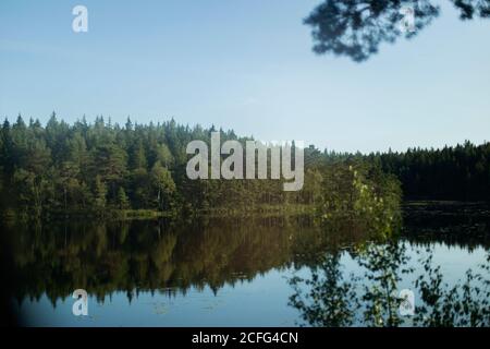 Picturesque scenery of tranquil lake surrounded by green trees reflecting in water during sundown Stock Photo