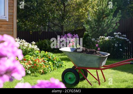 Wheelbarrow full of compost on yard Stock Photo