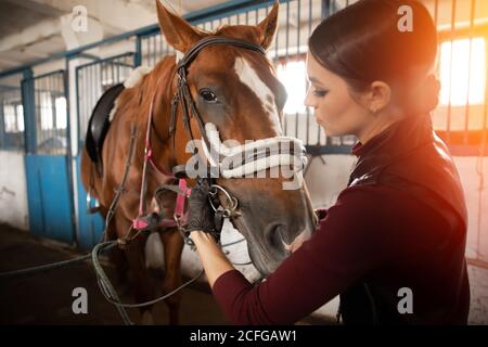 Young woman rider puts on horse saddle in stall