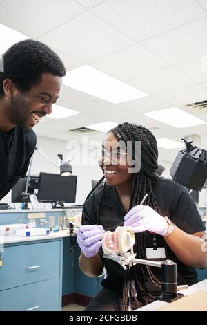 Delighted African American female with braids smiling and using mouth mirror and probe to show coworker false teeth during work in lab Stock Photo