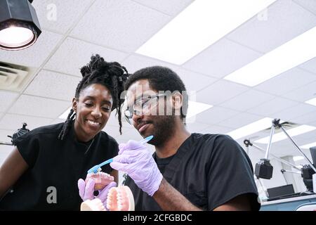 Low angle of happy African American Woman with dreadlocks and bearded man smiling and brushing false teeth during work in lab Stock Photo