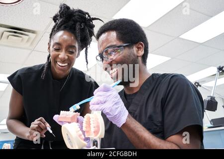 Low angle of happy African American Woman with dreadlocks and bearded man smiling and brushing false teeth during work in lab Stock Photo