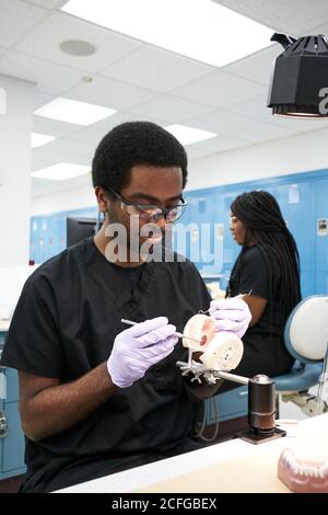 African American guy in latex gloves using mouth mirror and probe to check false teeth while working in modern laboratory Stock Photo