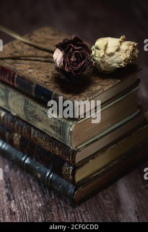 From above of dried roses on top of antique books stacked on wooden table in library Stock Photo