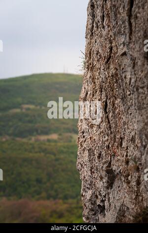 Selective focus on foreground vertical rocky cliff with red moss and background, out of focus hills covered by green forest trees Stock Photo