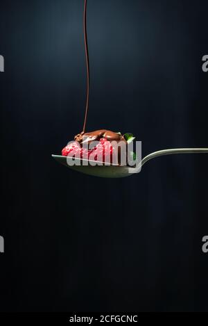 Delicious chocolate ganache jet of chocolate falling on top of a strawberry perched on a spoon Stock Photo
