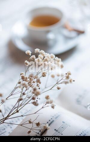 Close-up of a cup of tea on a table Stock Photo