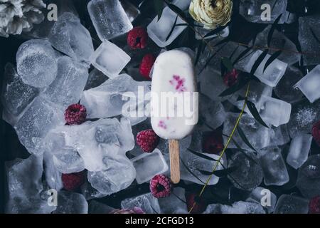 Top view still life of creamy raspberry popsicle placed on top of ice cubes, frozen fruit and flowers background Stock Photo