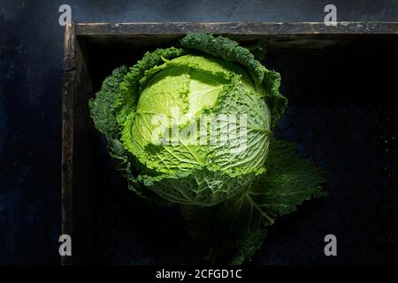 From above green head of savoy cabbage in wooden box Stock Photo