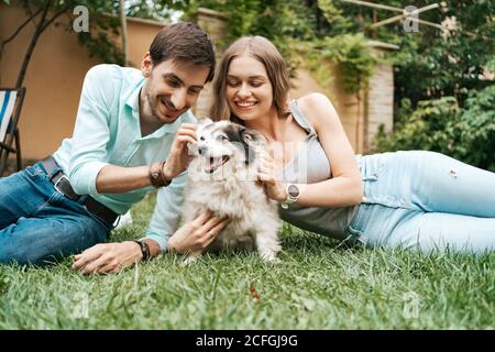 Happy couple of guys playing with their dog in the backyard on the grass. Cheerful old dog Stock Photo
