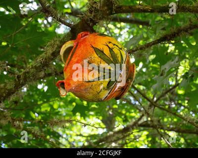 Colourful Ceramic Teapot Hanging From A Tree Stock Photo