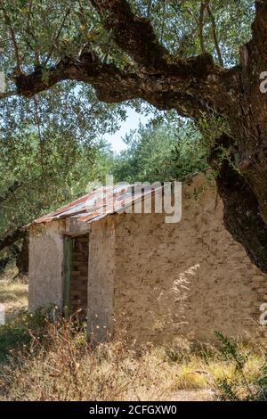 an old stone outbuilding or barn in a greek olive grove. Stock Photo