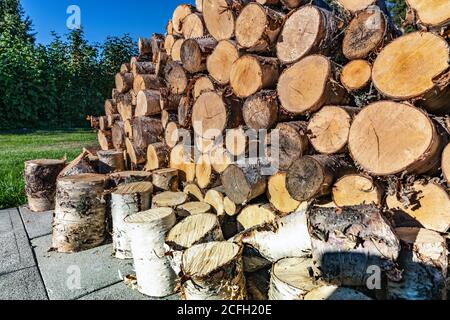 Close up photo of fresh stacked short birch wood logs on barbeque spot, garden. Birch logs harvested to be used for grilling. Summer evening, concrete Stock Photo