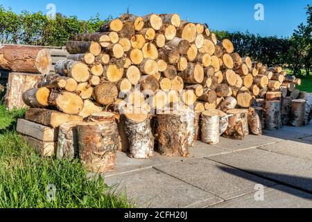 Alot of fresh stacked short birch wood logs on barbeque spot, garden. Birch logs harvested to be used for grilling. Summer evening, concrete plates. G Stock Photo
