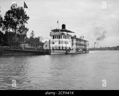 Original Caption:  Egypt. River scenes. The Nile. Scenes along the Cairo banks  - Location: Egypt--Cairo ca.  1934-1939 Stock Photo