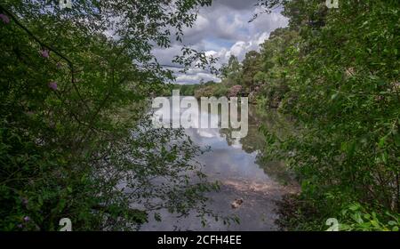 California Country Park in Finchampstead Stock Photo