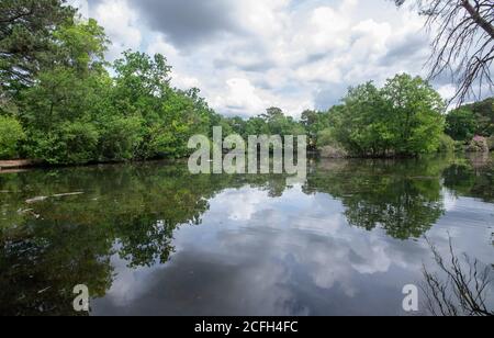 California Country Park in Finchampstead Stock Photo