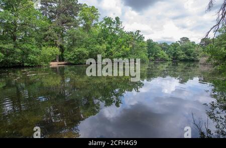 California Country Park in Finchampstead Stock Photo