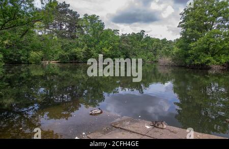 California Country Park in Finchampstead Stock Photo