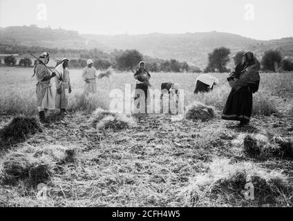 Original Caption:  Harvesting and threshing floor scenes in the story of Ruth & Boaz  - Location:  ca.  1898-1946 Stock Photo