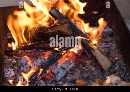 Small campfire with flames. Smoldering wood. Stock Photo