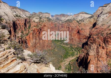 Looking down Zion Canyon via Canyon Overlook Stock Photo