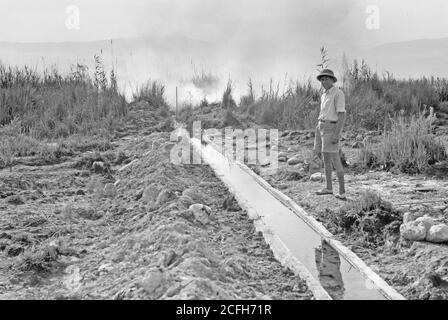 Middle East History - Dead Sea Album prepared for the Palestine Potash Ltd. A bush fire at 'Ein Arous consuming the tropical growth on waste land Stock Photo
