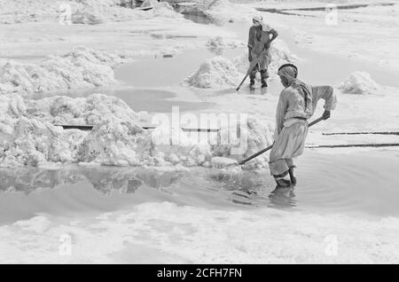 Middle East History - Dead Sea Album prepared for the Palestine Potash Ltd. Arab labourers supplied with high rubber boots while heaping up carnolite [i.e. carnallite] Stock Photo