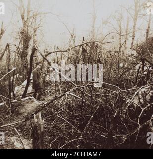 Destruction after the Battle of Belleau Wood during World War One ...