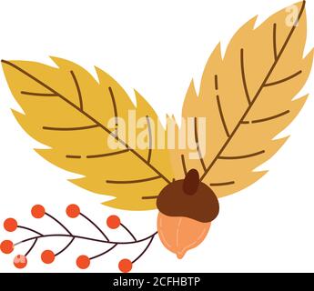 autumn season leafs and seeds botanical decoration vector illustration design Stock Vector