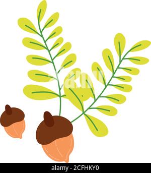 autumn season leafs and seeds botanical decoration vector illustration design Stock Vector