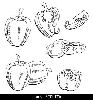 Pepper graphic black white isolated sketch illustration vector Stock Vector