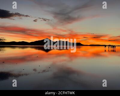 Spectacular red nightfall. Stunning sunset. Dramatic sunset sky over salt lake in Salar de Uyuni, Bolivia. Amazing heaven reflection in the water. Stock Photo