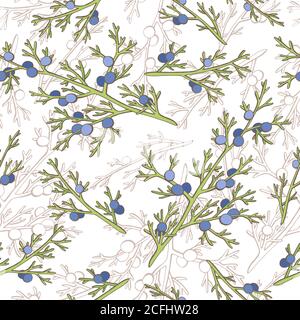 Juniper graphic color seamless pattern sketch illustration vector Stock Vector