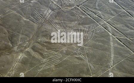 Condor bird Nasca Geoglyph. Mysterious lines Nazca in desert, Peru. Lines and geoglyphs of Nasca are series of drawings etched into ground surface. Stock Photo